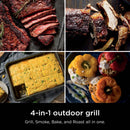 Ninja Woodfire Outdoor Grill & Smoker, 4-In-1 Functionality, Authentic Woodfire Flavors, Electric Heat, OG301