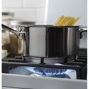 30-In 5 Burners 5-Cu Ft Freestanding Natural Gas Ran ( White )
