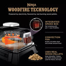 Ninja Woodfire Outdoor Grill & Smoker, 4-In-1 Functionality, Authentic Woodfire Flavors, Electric Heat, OG301
