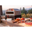 12 In. Tabletop Propane Gas Outdoor Pizza Oven